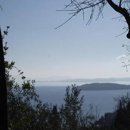 Ellenas- ニキアナ